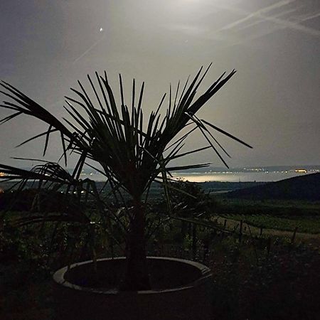 Panorama, Balaton Villa Dorgicse Luaran gambar