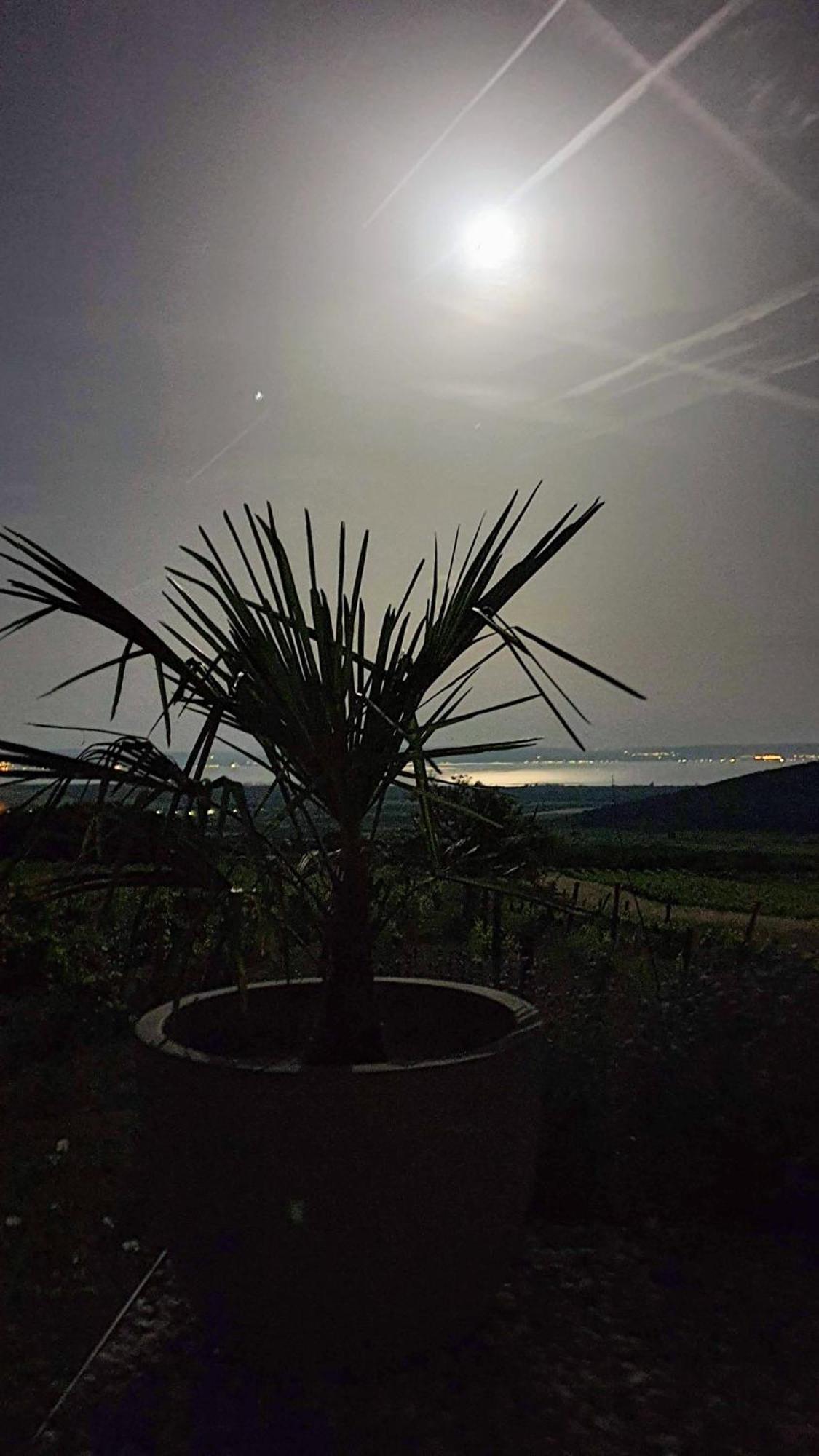 Panorama, Balaton Villa Dorgicse Luaran gambar